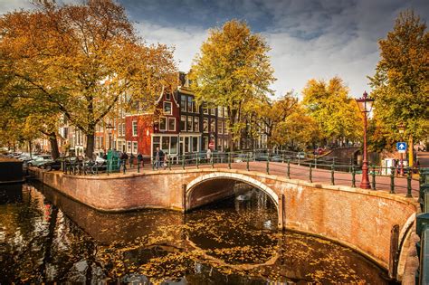 'Netherlands' Search .